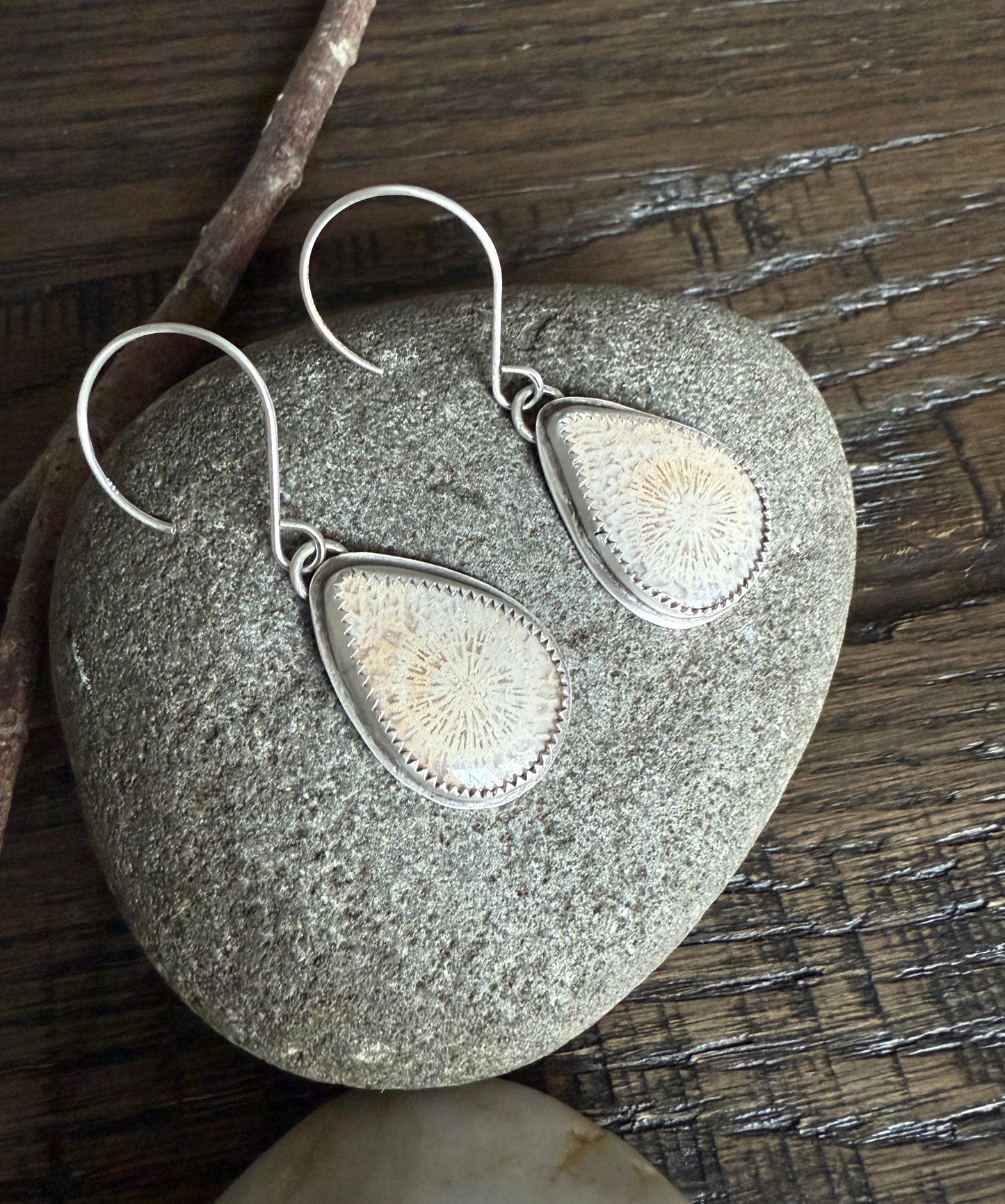 Fossilized Coral Earrings