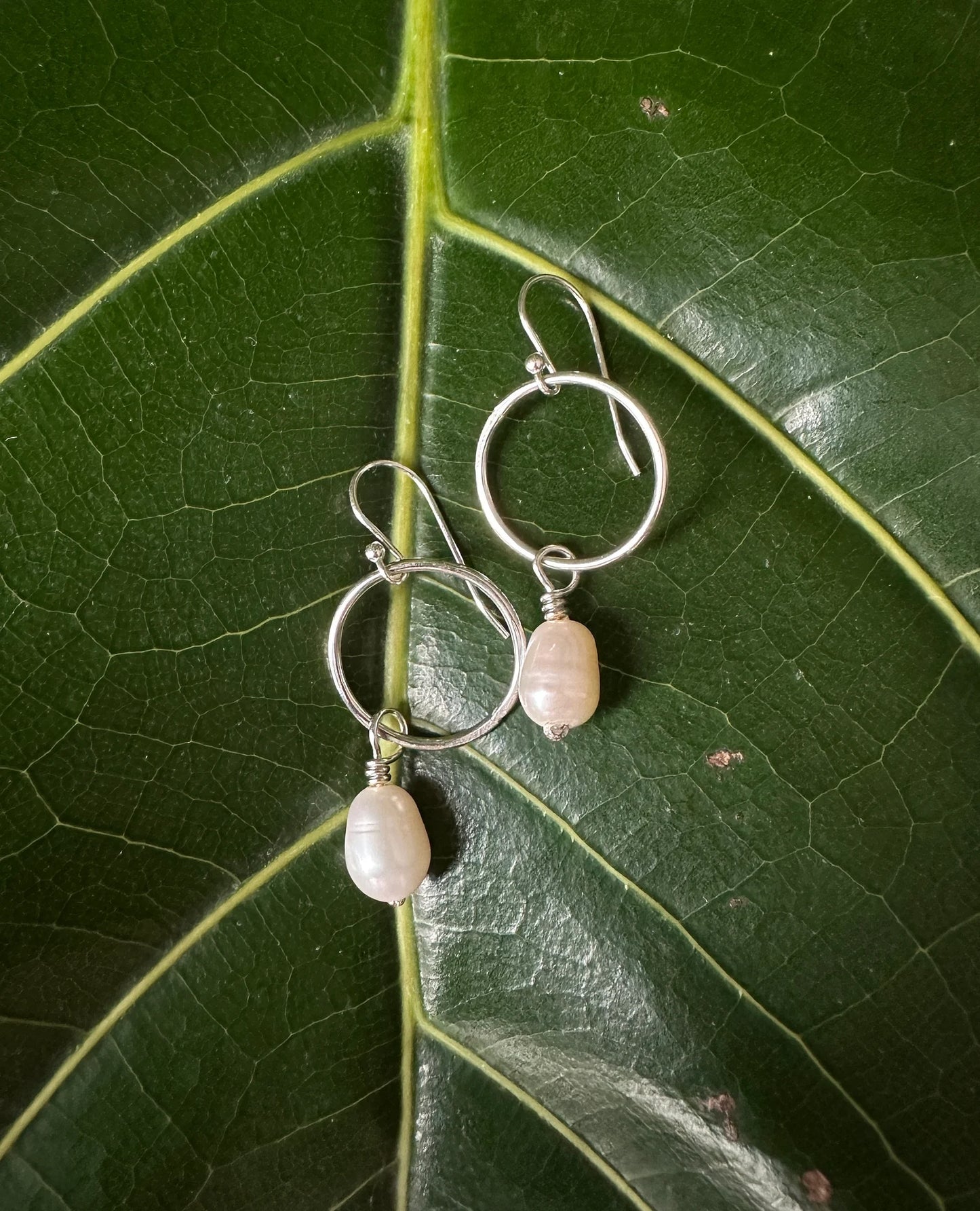 Freshwater Pearl Dangle Earrings