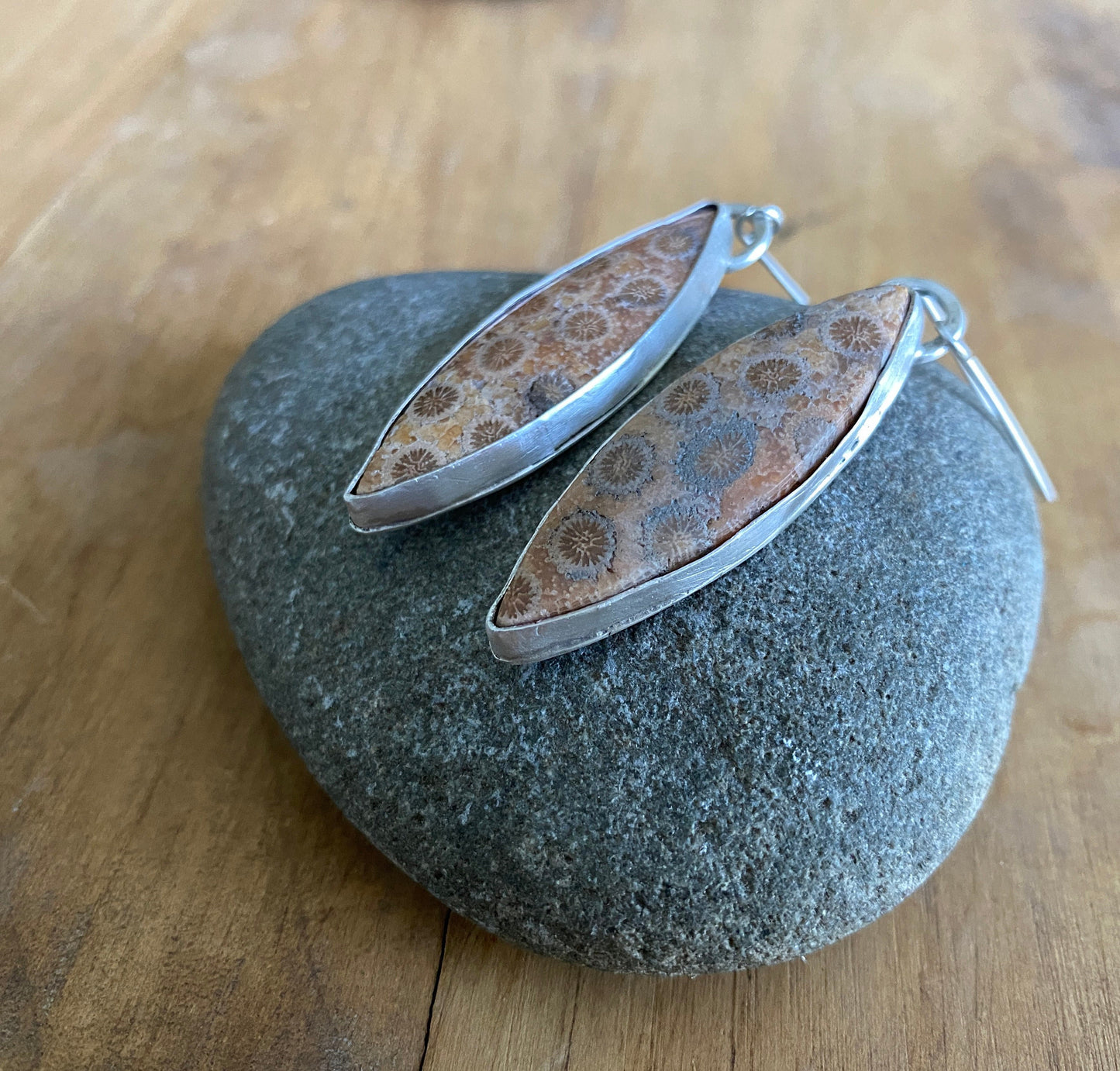 Fossilized Coral Earrings