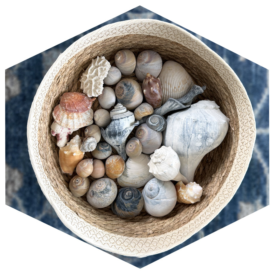 Shell Art