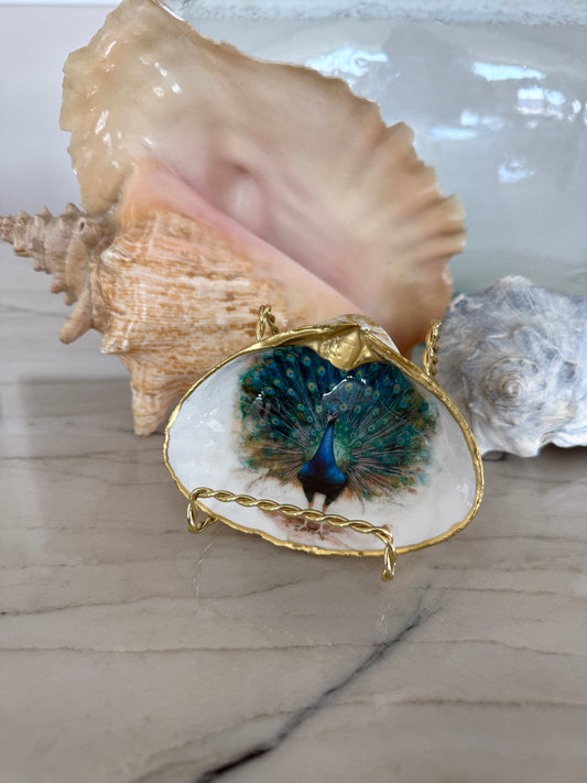 Clam Shell Trinket Dish