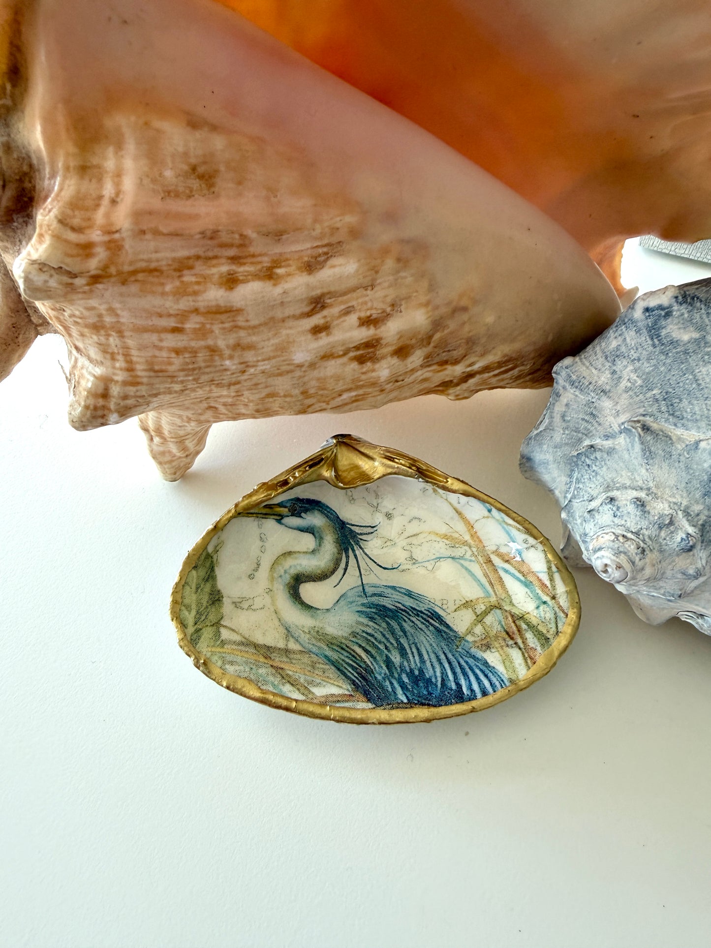 Clam Shell Trinket Dish