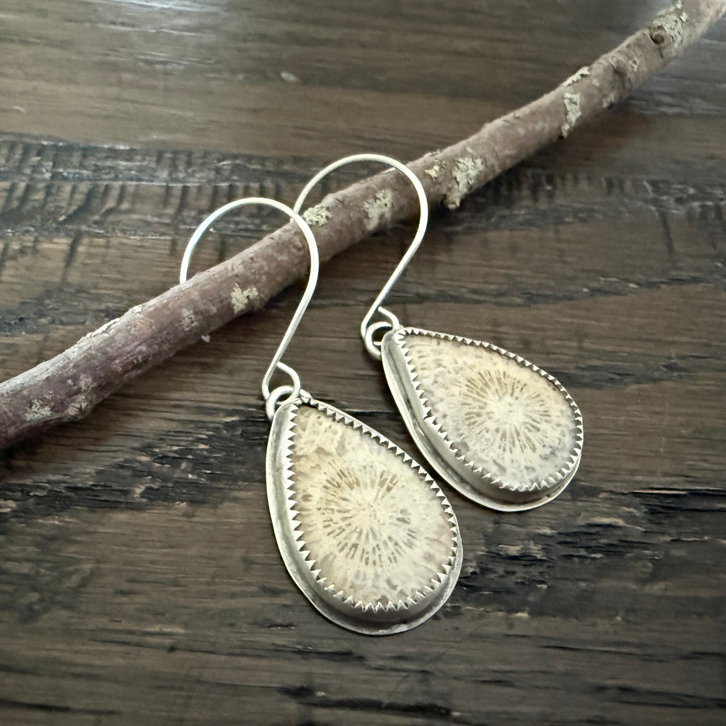 Fossilized Coral Earrings