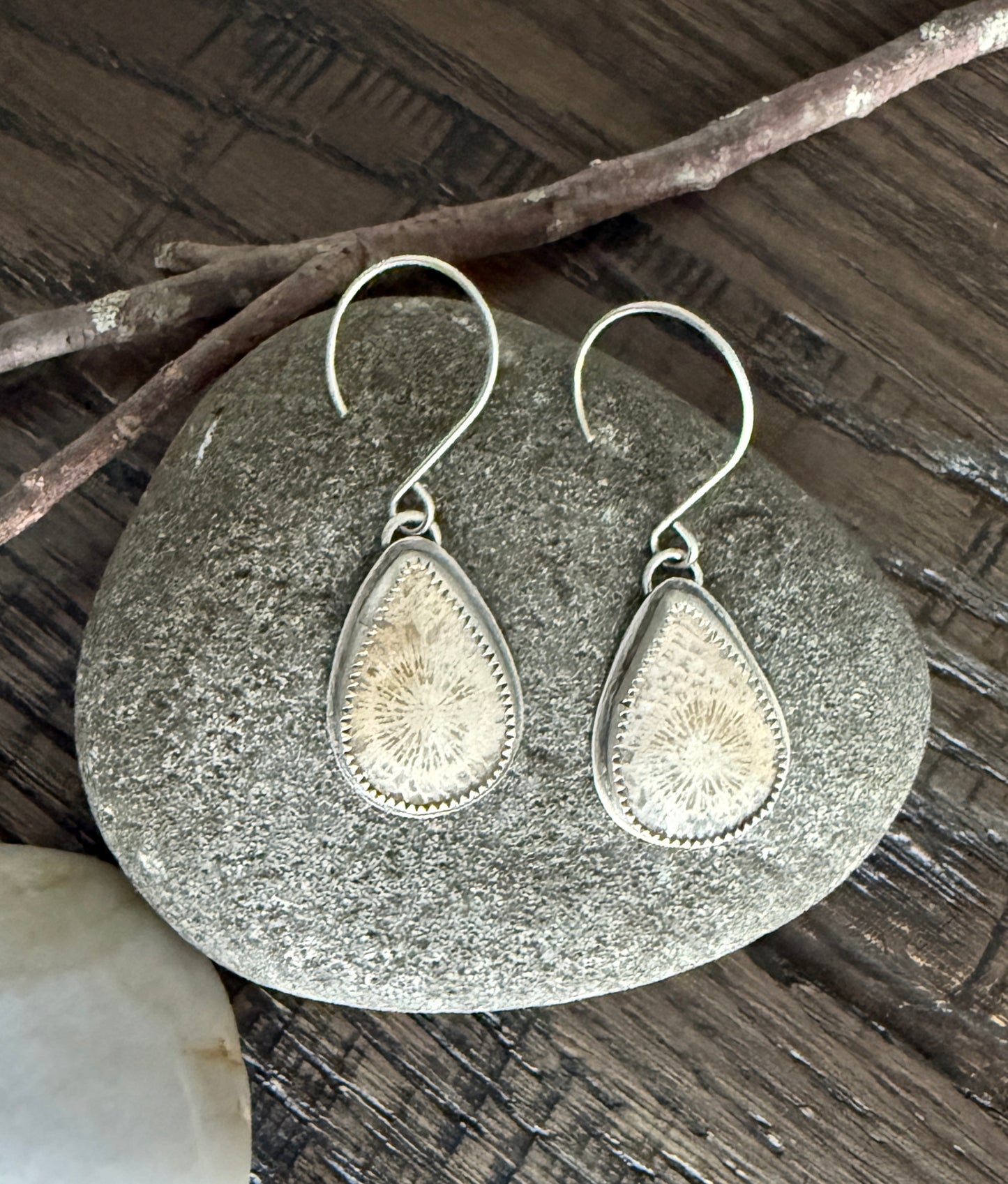 Fossilized Coral Earrings