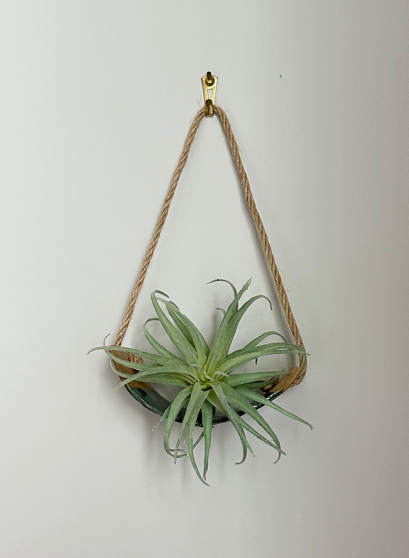 Pottery Air Plant Hanger