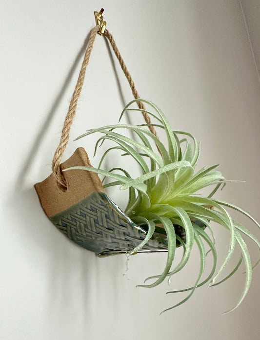 Pottery Air Plant Hanger