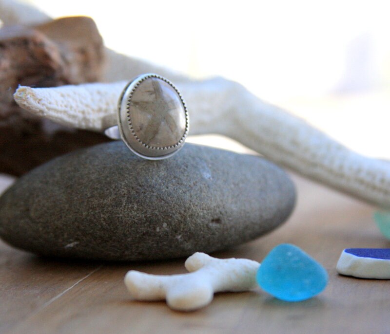 Sand dollar fossil ring, sterling silver ring, beach jewelry, artisan jewelry, statement ring