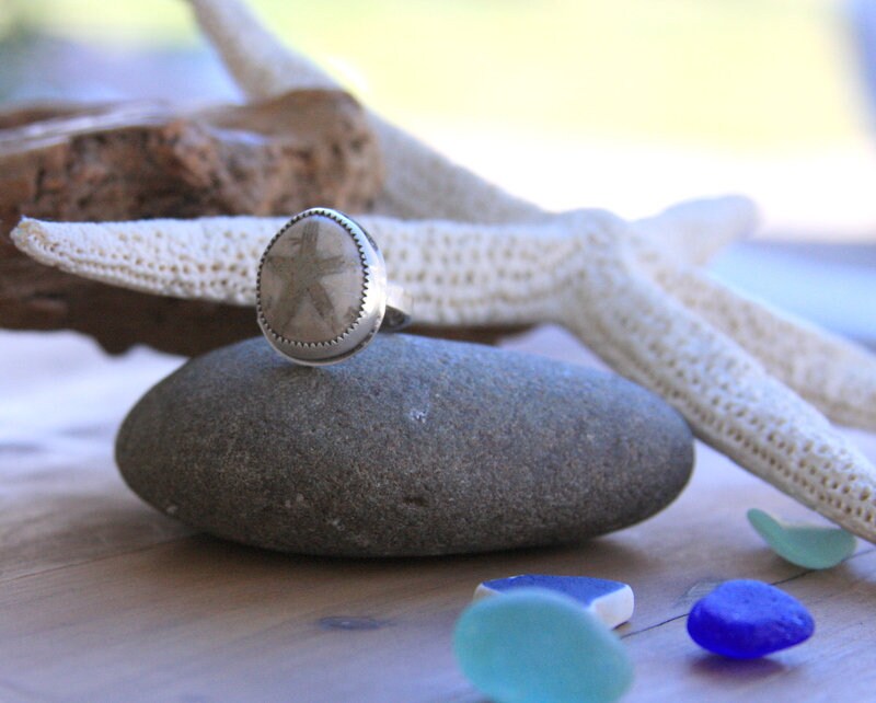 Sand dollar fossil ring, sterling silver ring, beach jewelry, artisan jewelry, statement ring