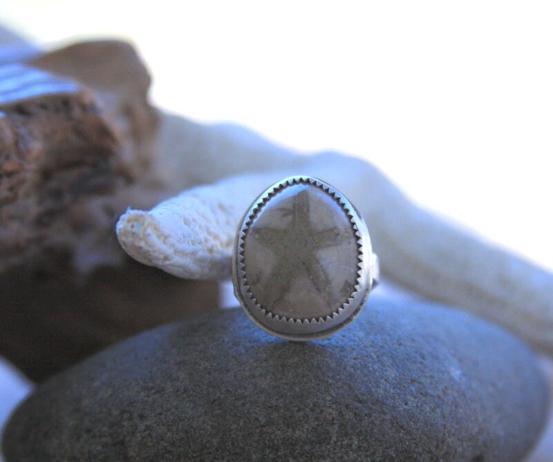 Sand dollar fossil ring, sterling silver ring, beach jewelry, artisan jewelry, statement ring