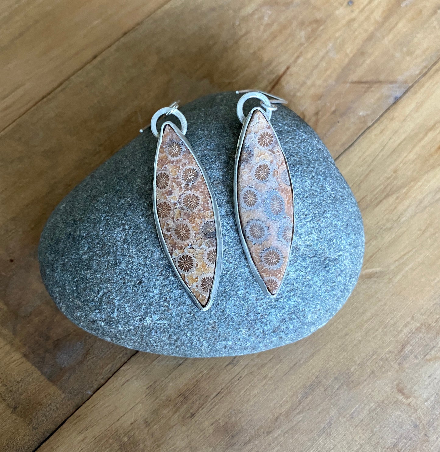 Fossilized Coral Earrings